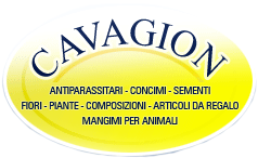 Cavagion