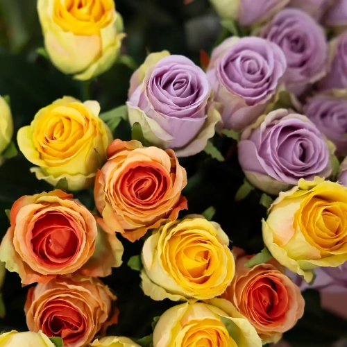 <strong>Piante</strong> e <strong>fiori</strong> per ogni tuo spazio
